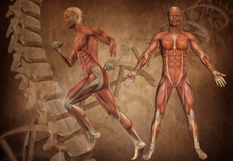 PENSAMENTO CIENTÍFICO